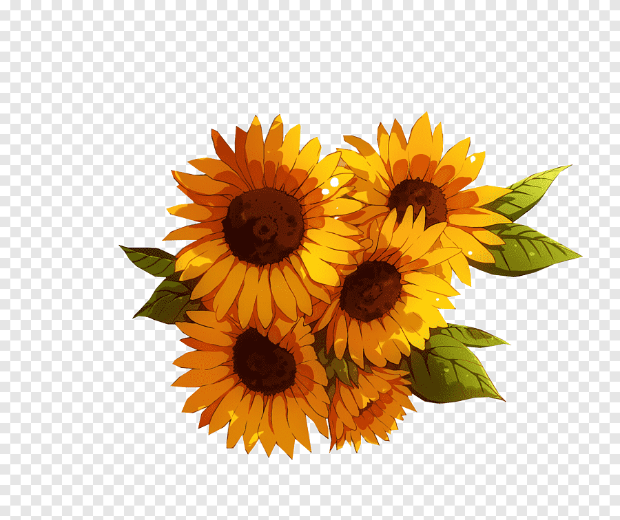 Watchers, yellow sunflowers, png | PNGEgg