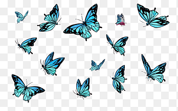 s, mariposas,  png thumbnail